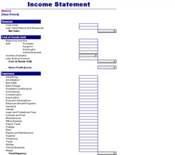 pro forma income statement