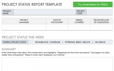 Project Progress Report Template from www.exceltemplates.com