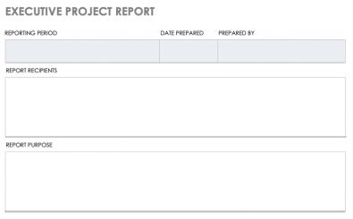 Executive Project Status Report