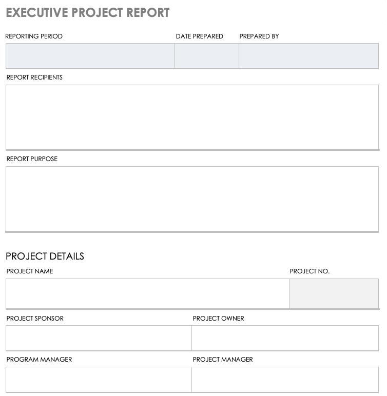 Executive Project Status Report Template Exceltemplates