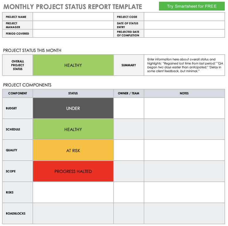 Monthly Project Status Report Template ExcelTemplate