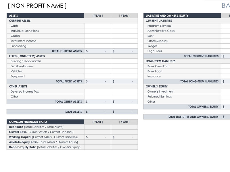 Non Profit Balance Sheet Template Excel Templates
