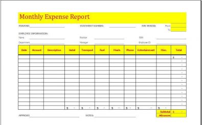 Monthly Expense Report